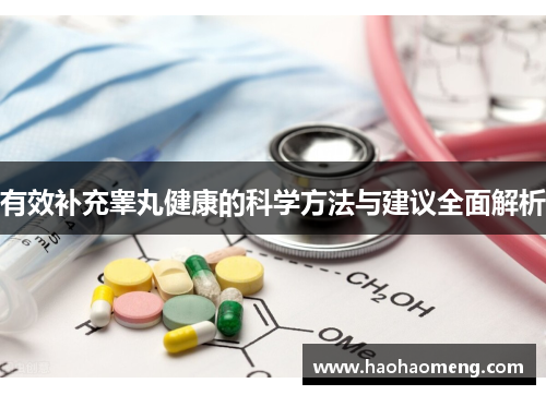 有效补充睾丸健康的科学方法与建议全面解析