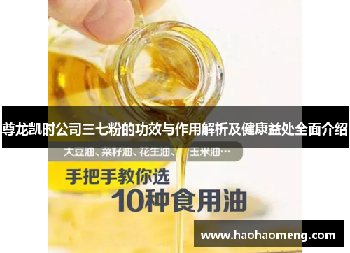 尊龙凯时公司三七粉的功效与作用解析及健康益处全面介绍