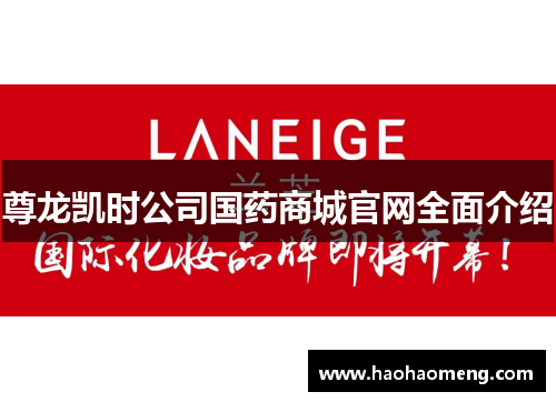尊龙凯时公司国药商城官网全面介绍
