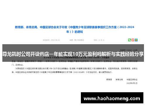尊龙凯时公司开设药店一年能实现10万元盈利吗解析与实践经验分享