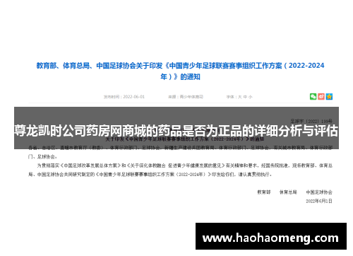尊龙凯时公司药房网商城的药品是否为正品的详细分析与评估