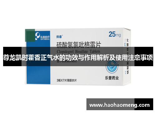 尊龙凯时藿香正气水的功效与作用解析及使用注意事项
