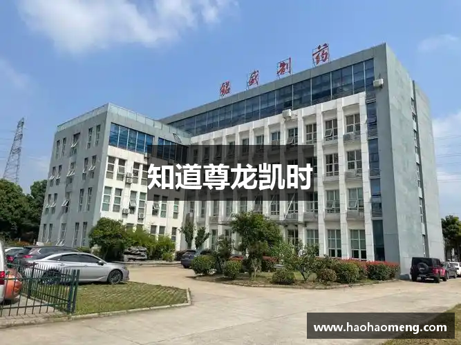 知道尊龙凯时
